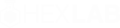 Logo-Dummy-7.png